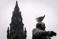 A seagull on the head of a statue and the Scott Monument in the background, Edinburgh Royalty Free Stock Photo