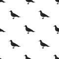 Seagull icon in black style isolated on white background. Bird pattern stock vector illustration. Royalty Free Stock Photo