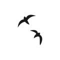 Seagull Icon Vector. Bird crow icon. Simple illustration