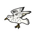 seagull illustration Royalty Free Stock Photo