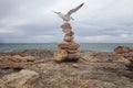 Seagull landed over stone mounts in the south coast of the island of majorca