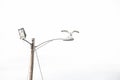 Seagull on a light post Royalty Free Stock Photo