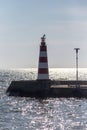 Seagull on the lighthouse, sealine and horizon Royalty Free Stock Photo