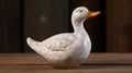 Resin Seagull Look Bird For Natural Home Decor