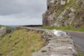 A seagull looking out to sea on rugged stone wall along Slea Head Drive in Dingle, Ireland Royalty Free Stock Photo