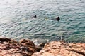 Tossa de Mar, Spain, August 2018. A seagull looks at divers in the sea with interest.