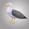 Seagull low poly. Low polygonal seabird. Animal with white hull and black wings.