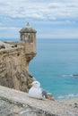 A seagull near the ancient castle.