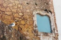 Seagull near antique historic monument window, Lagos, Portugal