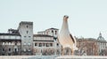 seagull near Castel San Angelo, closeup. Rome, Italy Royalty Free Stock Photo