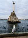 Seagull near monument of Dead war ships in water of Black sea in Sebastopol Royalty Free Stock Photo