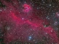 The Seagull Nebula Royalty Free Stock Photo