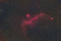 Seagull Nebula Royalty Free Stock Photo
