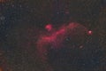 Seagull Nebula