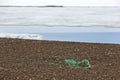 Seagull nest with the plastic rubbish on the Arctic island