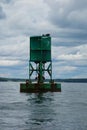 A seagull net on navigational buoy in Bar Harbor, Maine.