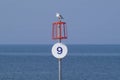 Seagull on ocean marker post Royalty Free Stock Photo
