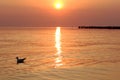 Seagull and old wooden bridge near Sventoji .Baltic sea. Royalty Free Stock Photo