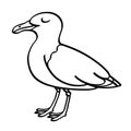 Seagull outline black and white illustration