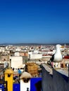 Seagull over the roofs of Essaouira in Morocco Royalty Free Stock Photo