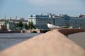 Seagull on the parapet of the city embankment