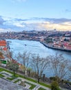 Seagull park Porto cityscape river Royalty Free Stock Photo