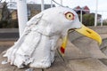 Seagull, part of Bird Heads by Andrew Burton, Bord Waalk sculpture trail Amble, Northumberland, UK