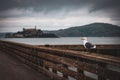 Seagull perched on dock railing in a natural setting Royalty Free Stock Photo