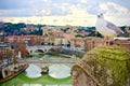 Seagull perched on a pillar overlooking a city Royalty Free Stock Photo