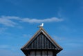 Seagull perched on a beach hut roof with blue sky. Aldeburgh, Suffolk. UK Royalty Free Stock Photo