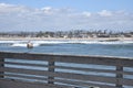 Seagull perched on a pier gazes at the sea. Royalty Free Stock Photo