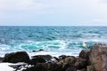 Seagull perched on rocks in the Black sea near Sozopol, Bulgaria Royalty Free Stock Photo