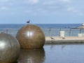 Seagull perched on a round bronze statue on the shoreline