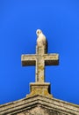 Seagull perched on top of a stone cross