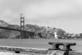 Seagull at Pier and Golden Gate Bridge in San Francisco, California, USA Royalty Free Stock Photo