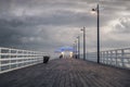 Seagull Pier Royalty Free Stock Photo