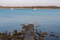 Seagull on pier with view of luxury sailing boats floating in port of Medulin, Pomer Bay, Kamenjak nature park, Istria peninsula Royalty Free Stock Photo