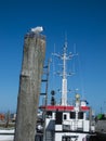 Seagull on a pole in Harlesiel Royalty Free Stock Photo