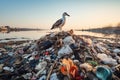 Seagull on Polluted River Trash with Ocean Background - Environmental Concern Wildlife Scene Royalty Free Stock Photo