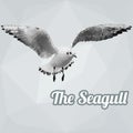 Seagull Polygon Vector