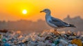 A seagull positioned on top of a pile of plastic bottles Royalty Free Stock Photo