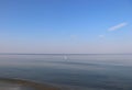 Seagull on the quiet Baltic Sea on Usedom Royalty Free Stock Photo