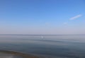 Seagull on the quiet Baltic Sea on Usedom