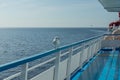 Seagull on the railing of a tourist ship. Royalty Free Stock Photo