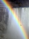 Seagull Rainbow