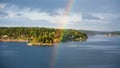 Seagull and rainbow over green coast of Baltic Sea