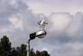 Seagull rest and stands on lighting pole cleaning his its feathers, spreading its wings and getting ready for flight. Royalty Free Stock Photo