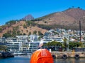 Seagull resting its wings on the harbor outside the Waterfront. Harbor, water, bridge and colorful scenery in background. Royalty Free Stock Photo