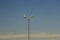 Seagull on the lamp