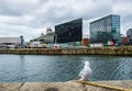A seagull rests set against Liverpool cityscape at the Liverpool Docks, Port of Liverpool, late on a cloudy afternoon